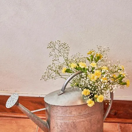 Light Filled Near Chiado, By Timecooler * Lisbon